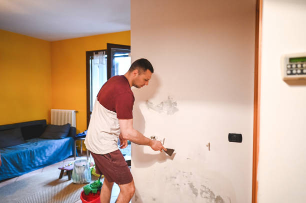 Best Emergency Mold Removal  in Hunters Creek, FL